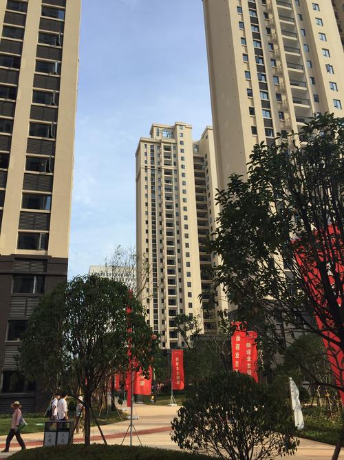 金科天悦 金科集团匠心打造，焕新城市人居理想